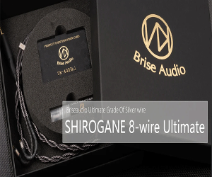 Brise audio( 브리즈오디오)SHIROGANE (시로가네)Ultimate  8wire