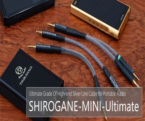 Brise audio( 브리즈오디오)SHIROGANE (시로가네)MINI-Ultimate (3.5 to 3.5)